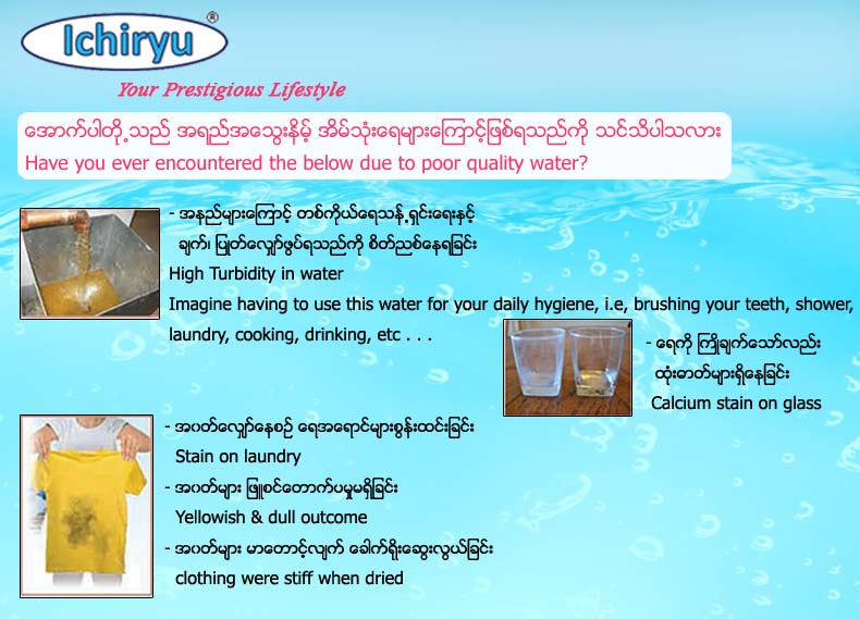 Ichiryu - Water Purification System