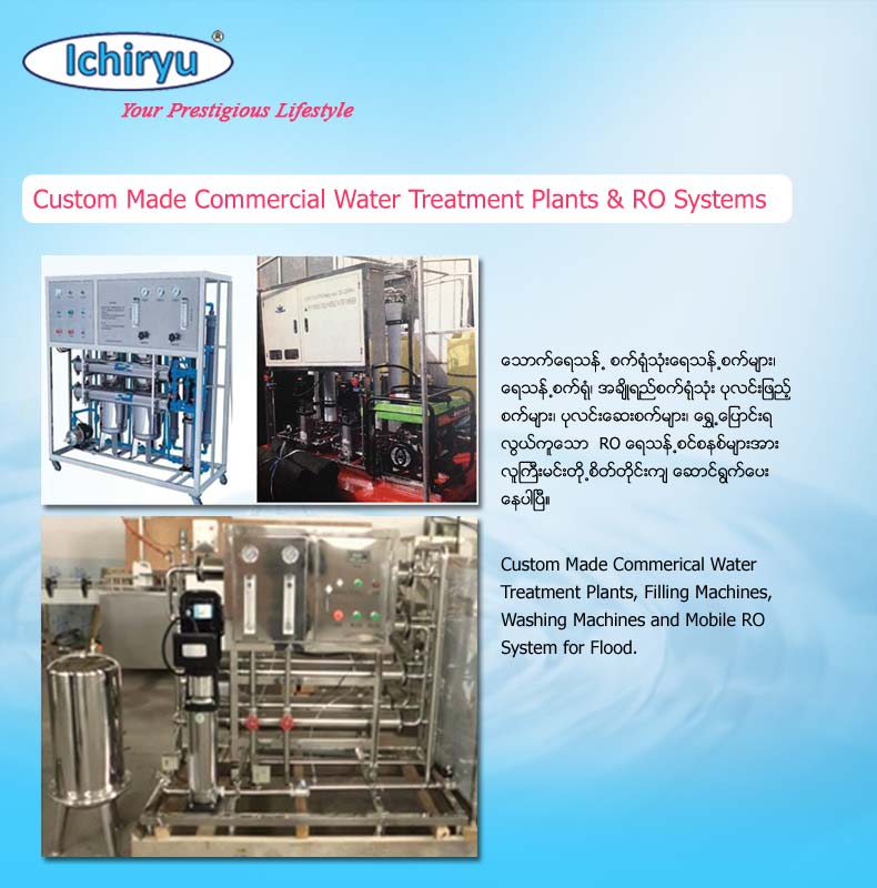 Ichiryu - Water Purification System