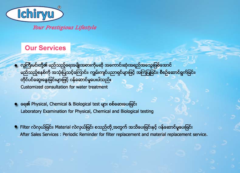 Ichiryu - Water Purification System