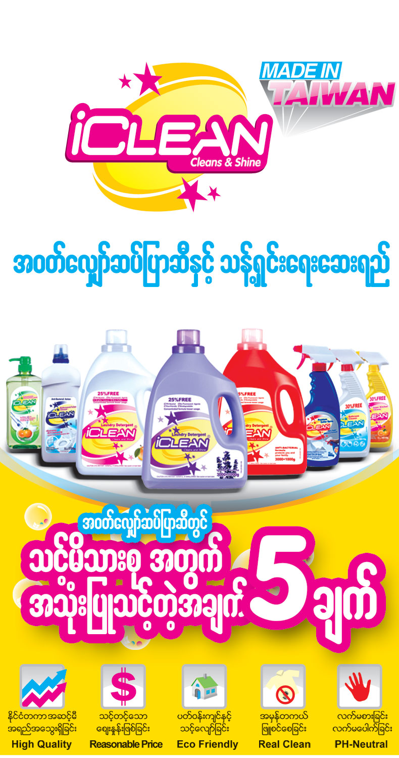 iClean - Cleans and Shine - Laundary Detergent, Kitchen Cleaner, Bathroom & Toilet Cleaner and Dishwashing Liquid