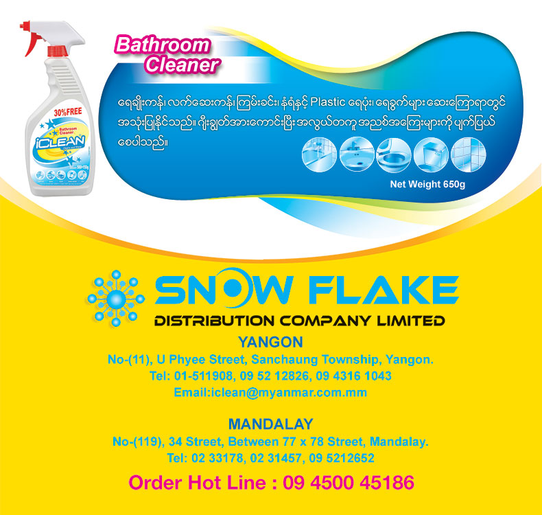 iClean - Cleans and Shine - Laundary Detergent, Kitchen Cleaner, Bathroom & Toilet Cleaner and Dishwashing Liquid